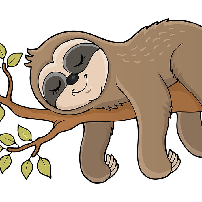 木の上で寝るナマケモノ