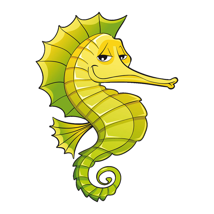 タツノオトシゴ