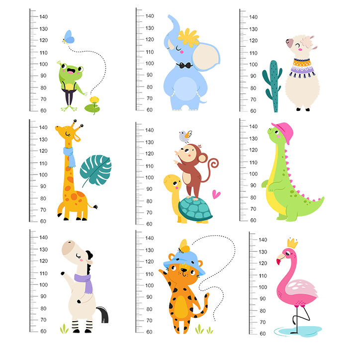 様々な動物の大きさ測定