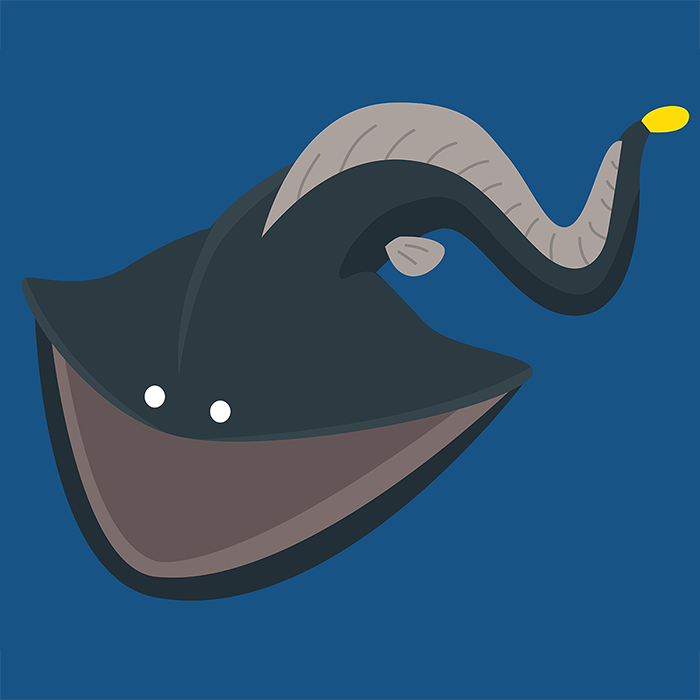 深海で泳ぐフクロウナギ