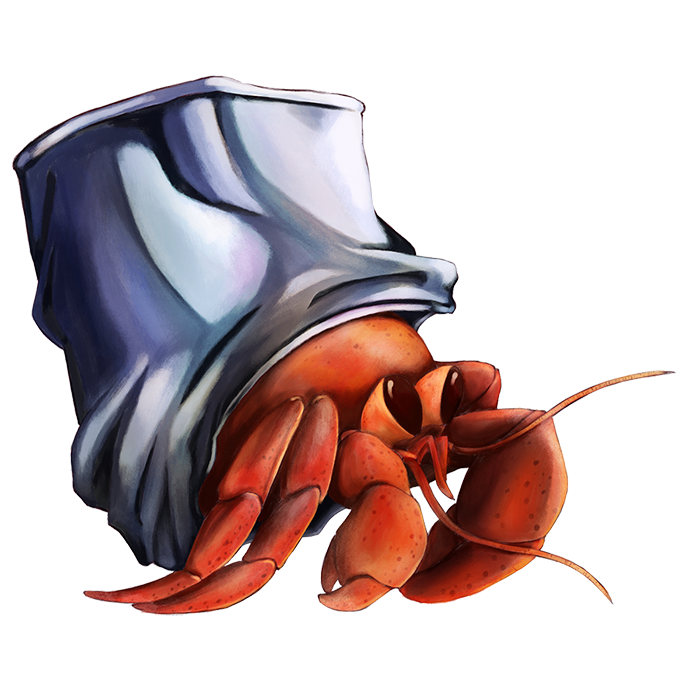 アルミをまとうヤドカリ