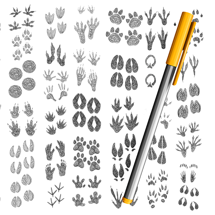 様々な動物の手形