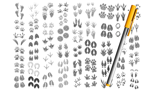 様々な動物の手形