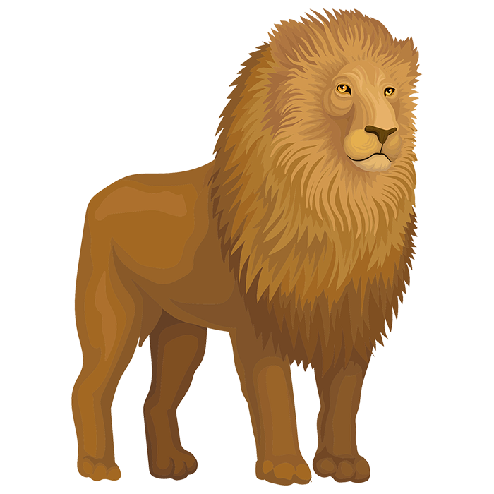 鬣が立派なオスライオン