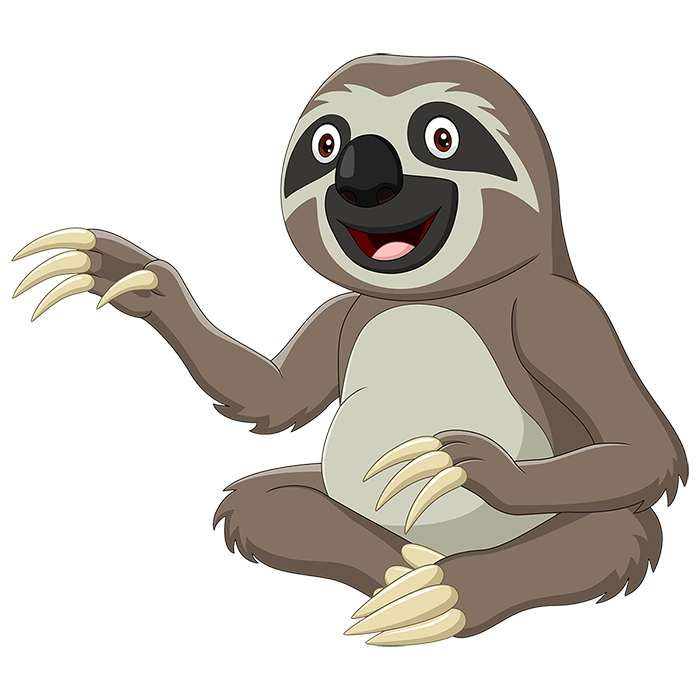 ワクワクしているナマケモノ