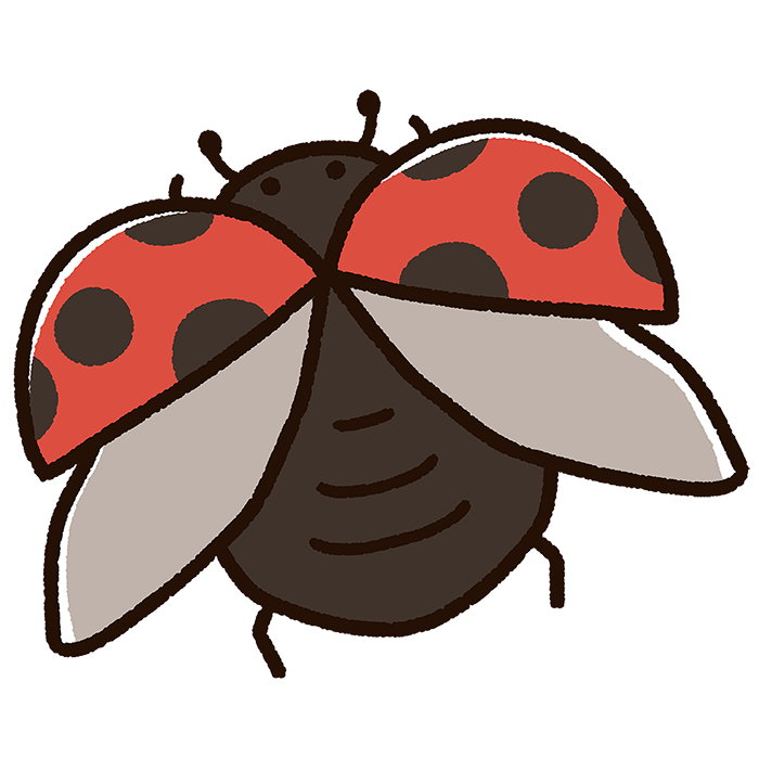 飛び立ったテントウムシ