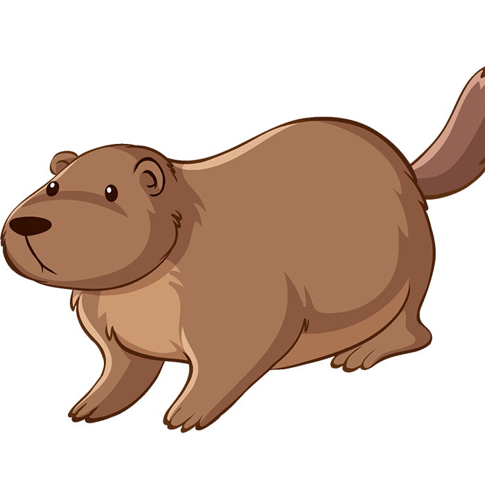 シキンビーバー