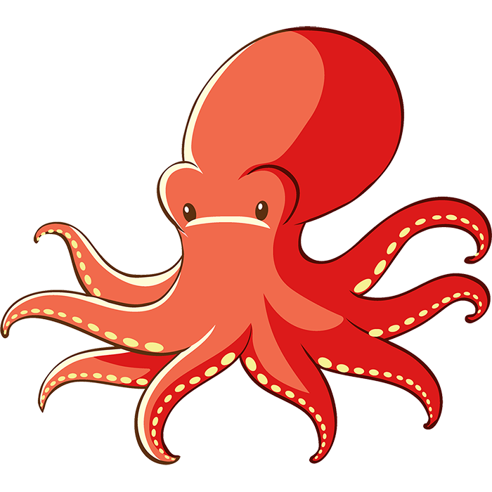 向かってくるタコ