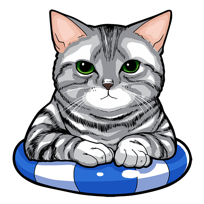 浮き輪を使っているネコ