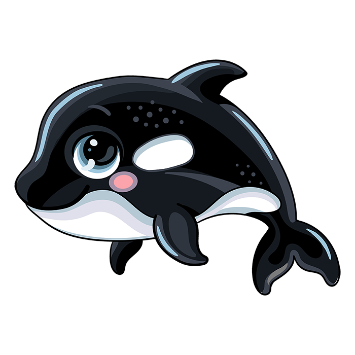 見つめるシャチ