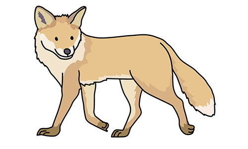 キツネ